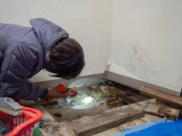 Asbestos and Lead Testing During Mold Inspection in Lake Mathews, CA