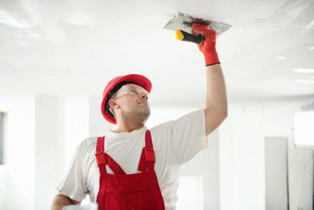 Trusted Lake Mathews, CA Mold Removal Experts