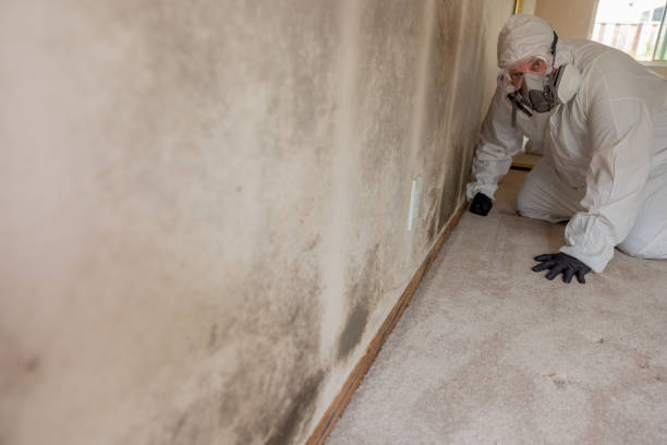 Mold Removal for HVAC Installations in Lake Mathews, CA
